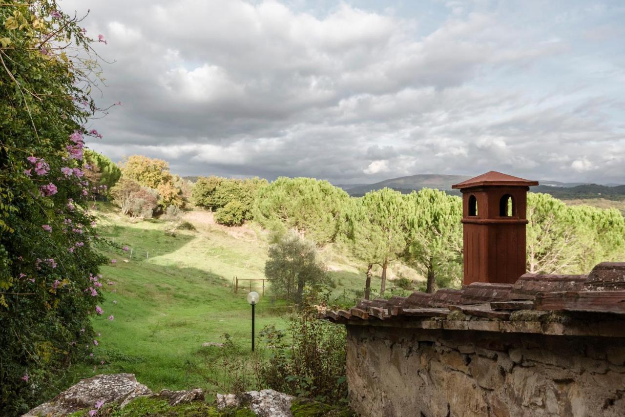 Agriturismo San Ottaviano Monterotondo  Kültér fotó