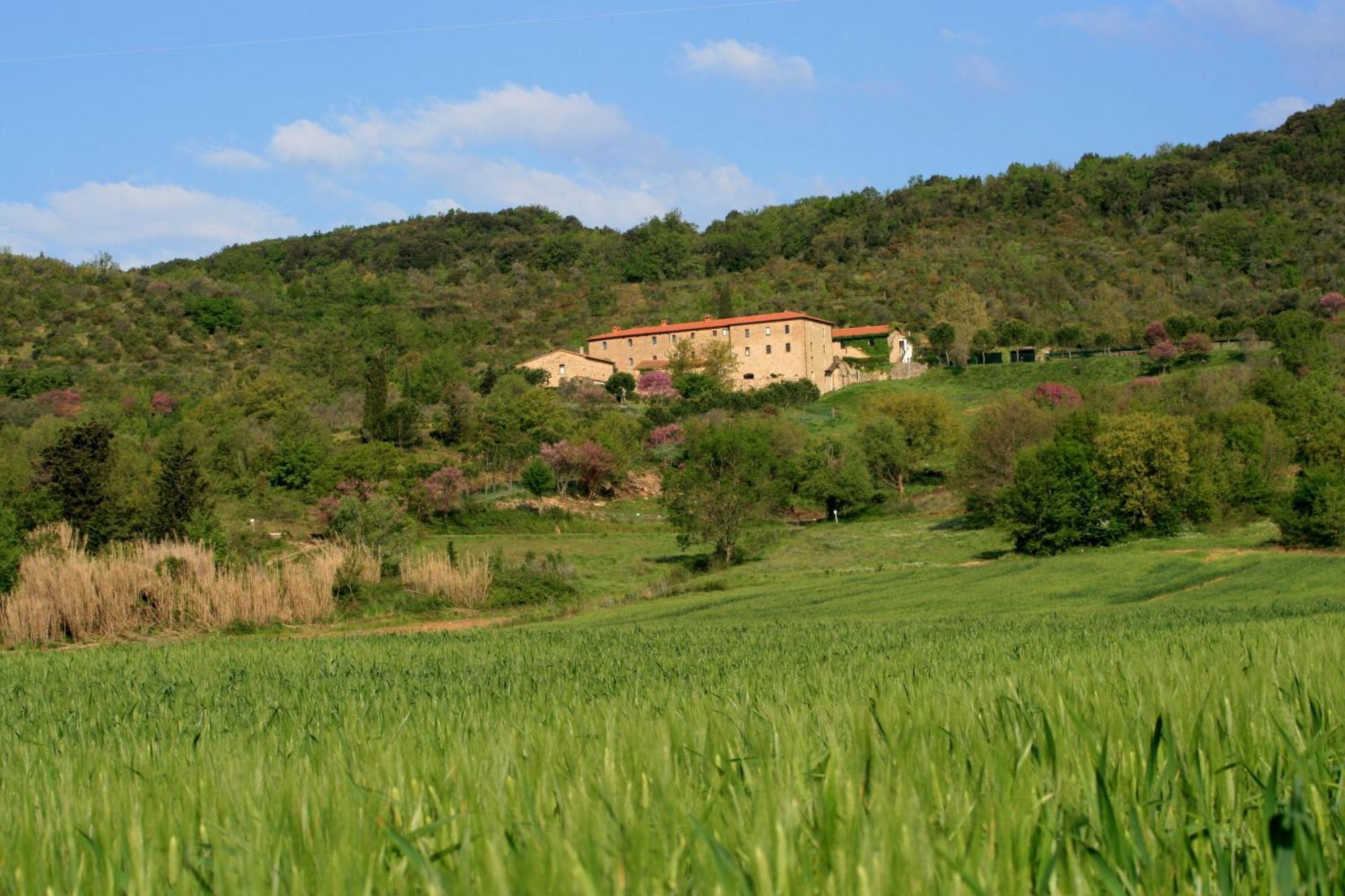 Agriturismo San Ottaviano Monterotondo  Kültér fotó